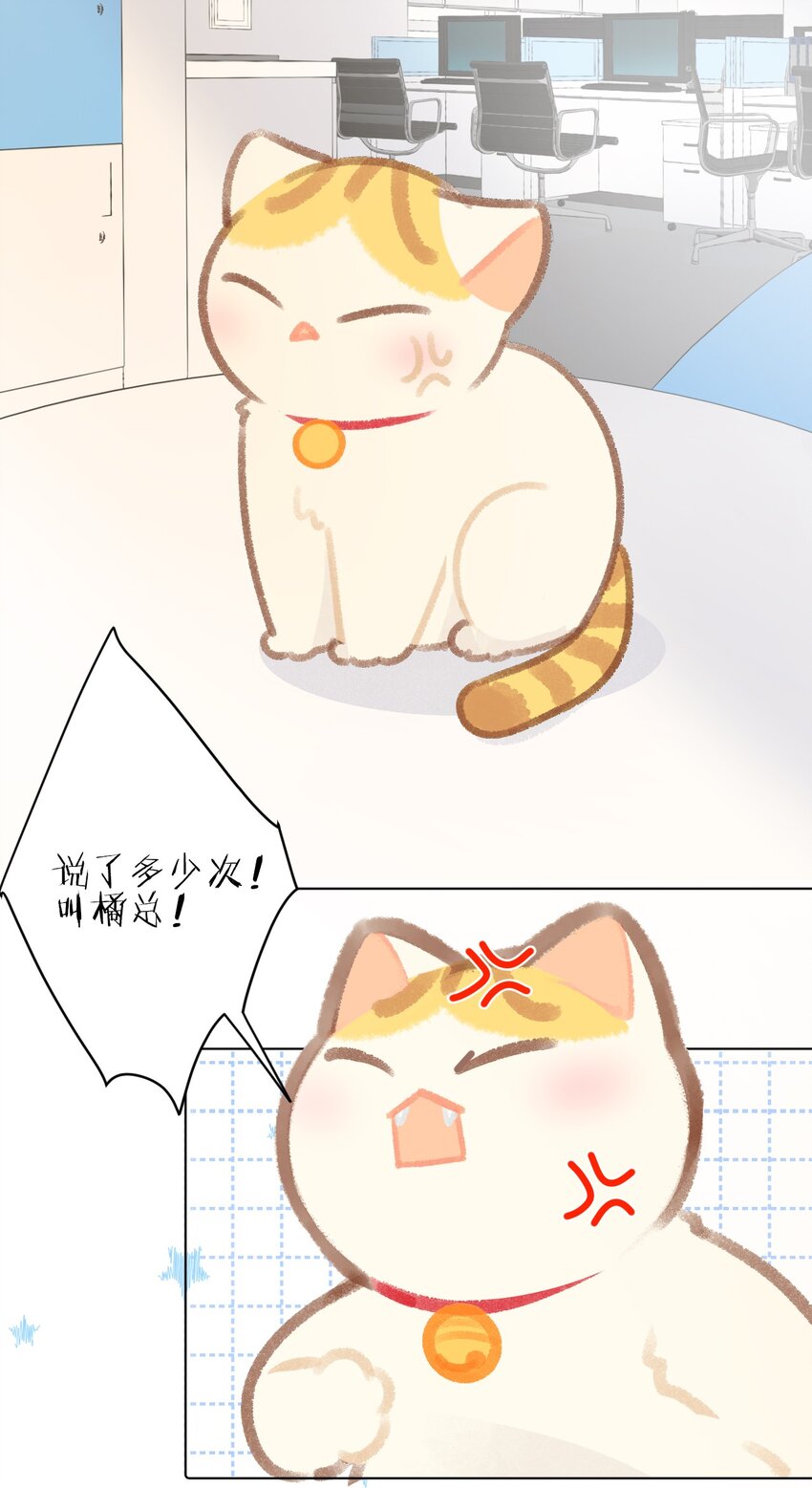 24 新员工在橘总头上拉屎？！-第26话