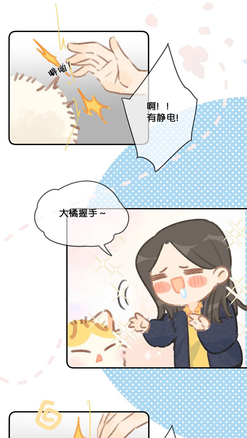 27 十万伏特喵！-第30话