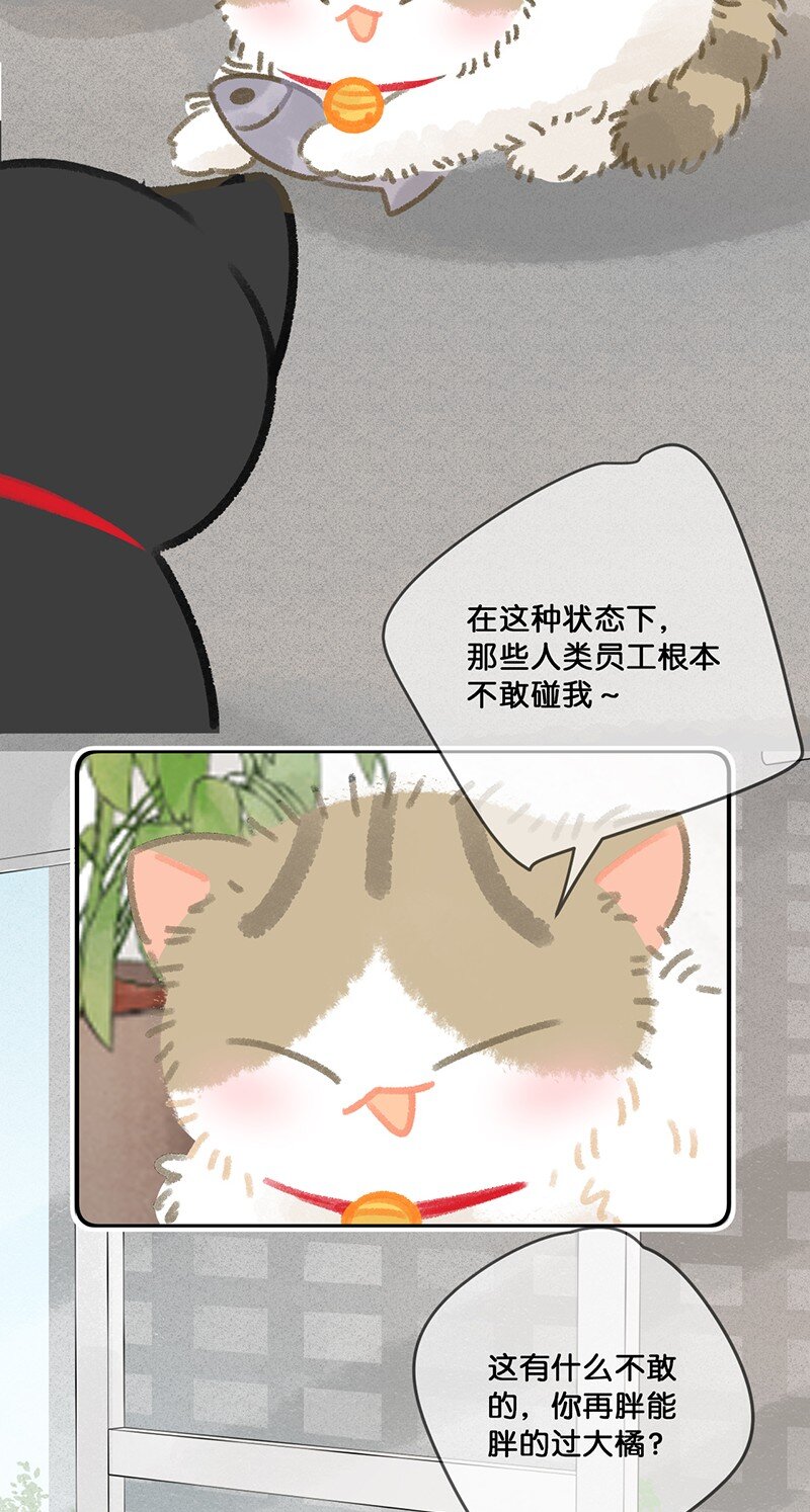 27 十万伏特喵！-第30话