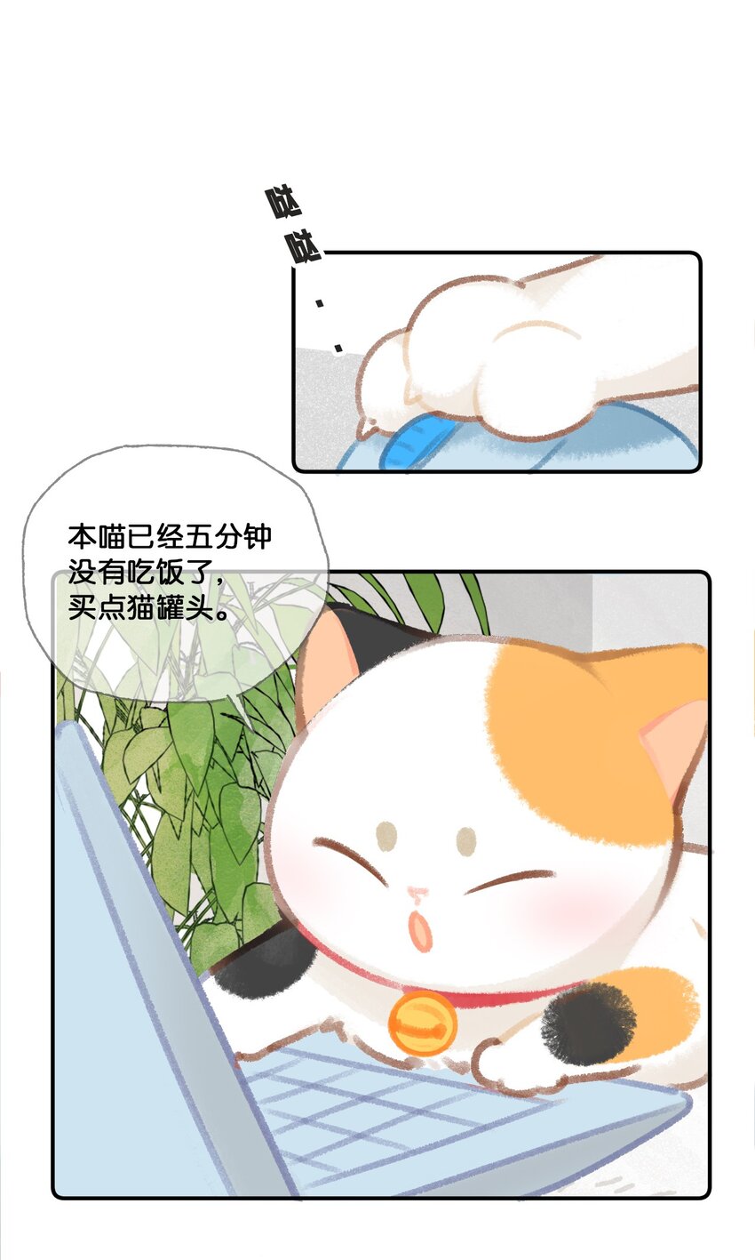 31 原价998，现在只要98？！-第34话