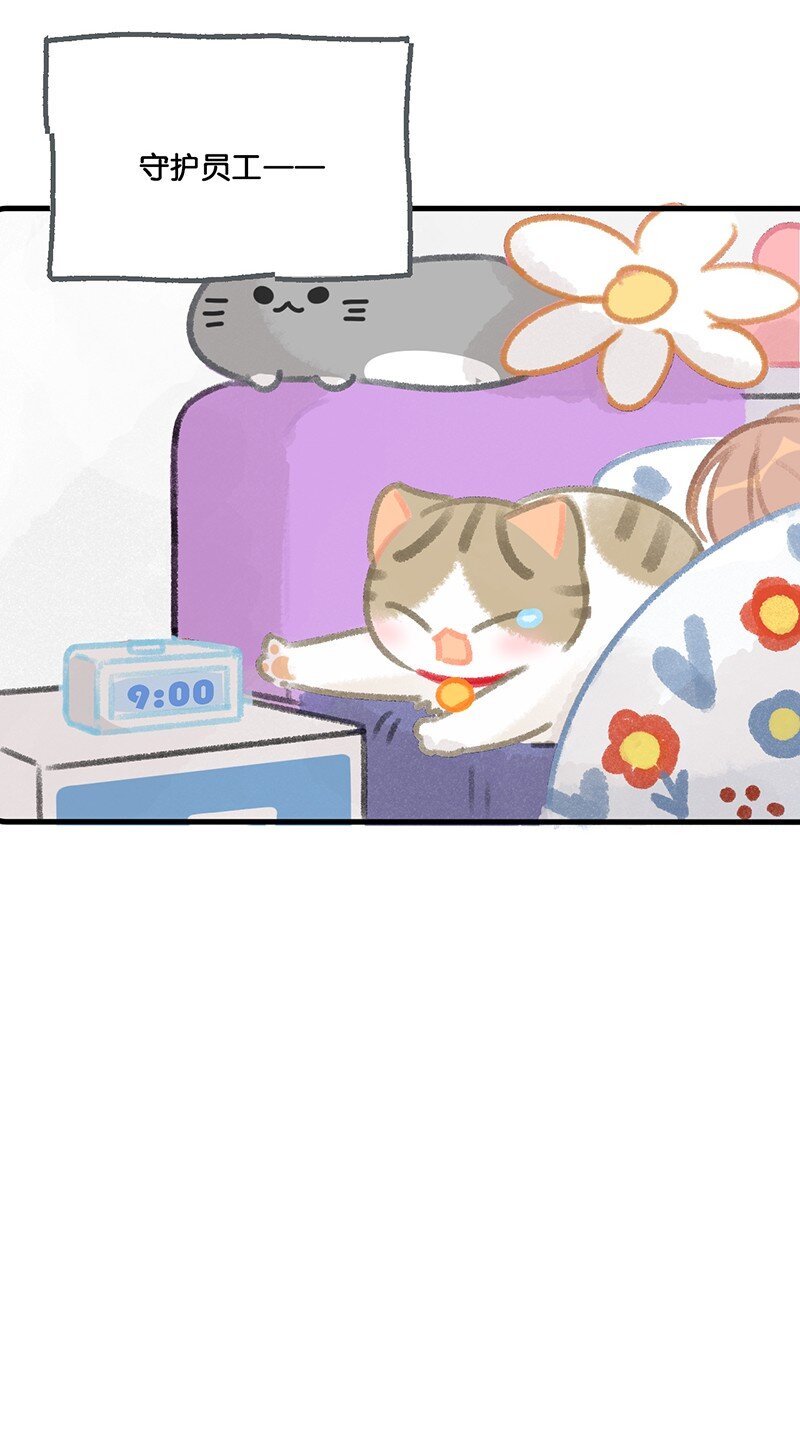 33 居家办公！-第36话