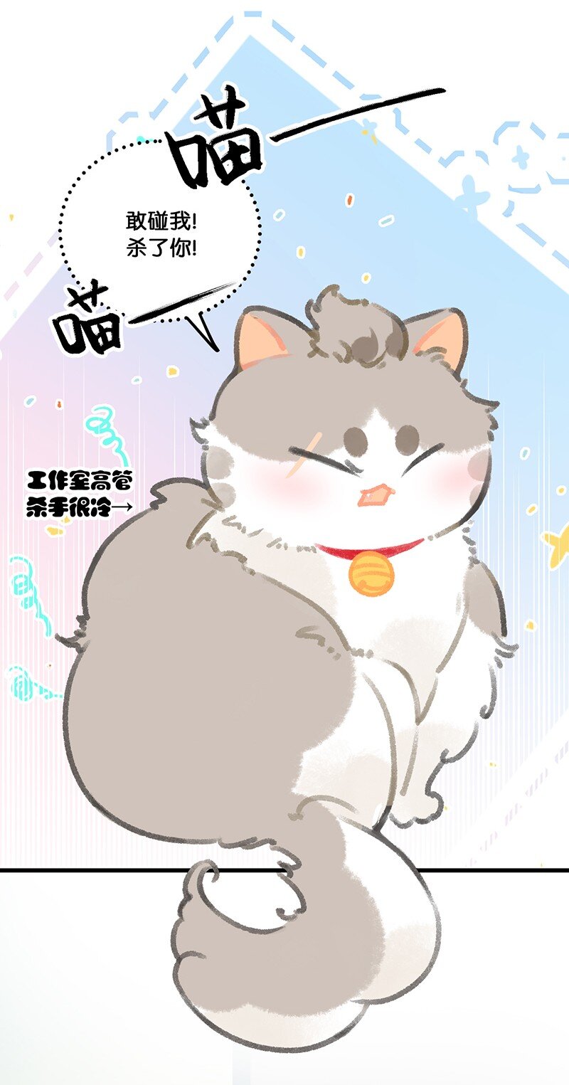 37 这个杀手&mdash;&mdash;有点冷！-第40话