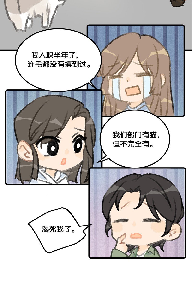 37 这个杀手&mdash;&mdash;有点冷！-第40话