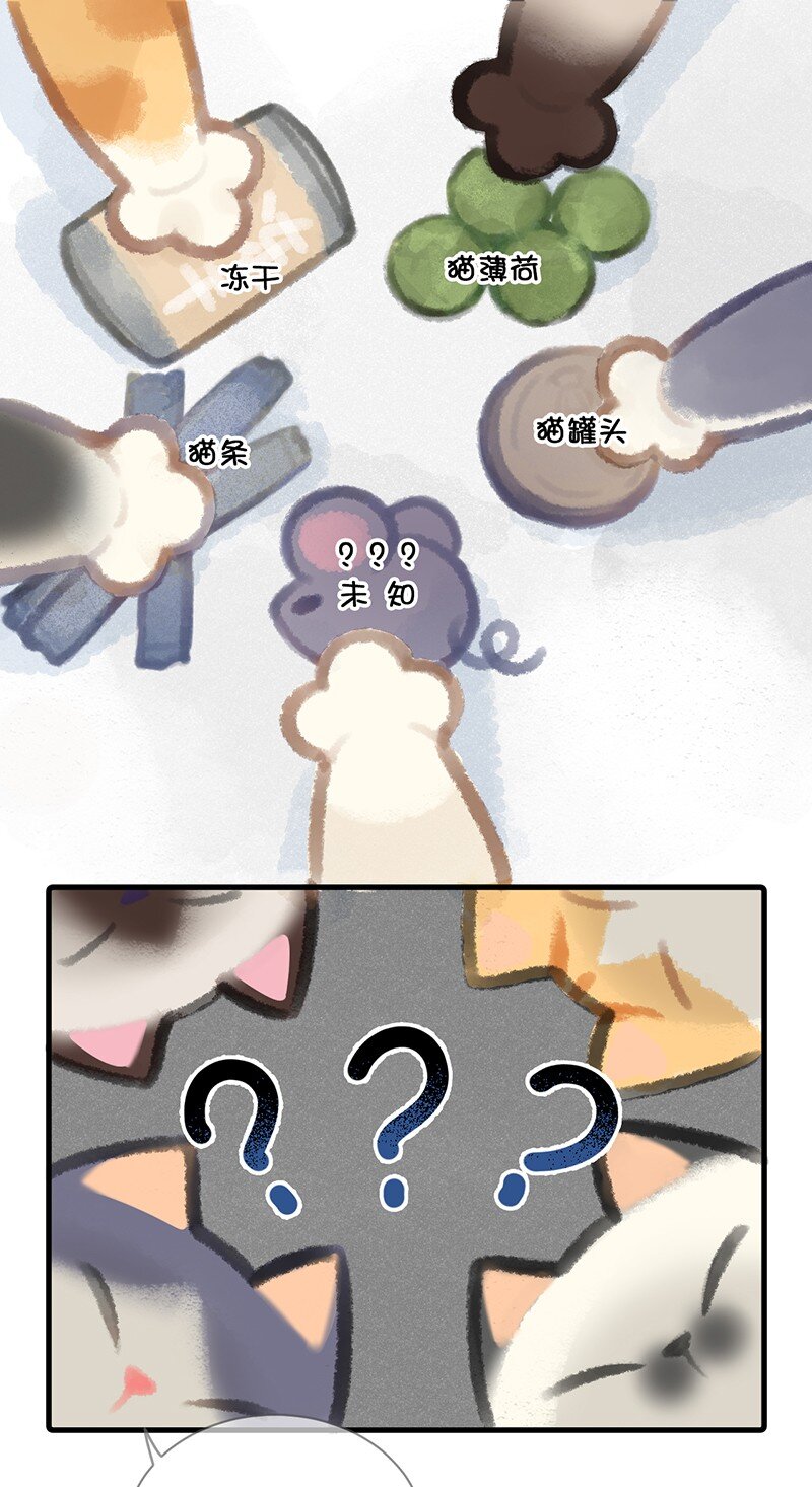 05 高层资源整合会议？！-第6话