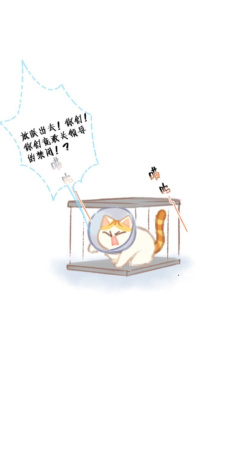 07 减肥是不可能减肥的！-第8话