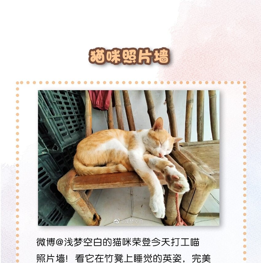 07 减肥是不可能减肥的！-第8话