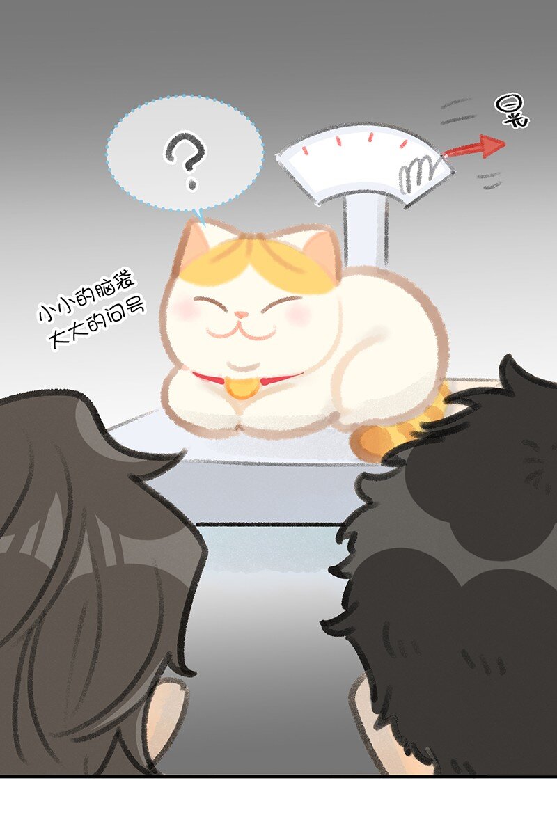 07 减肥是不可能减肥的！-第8话