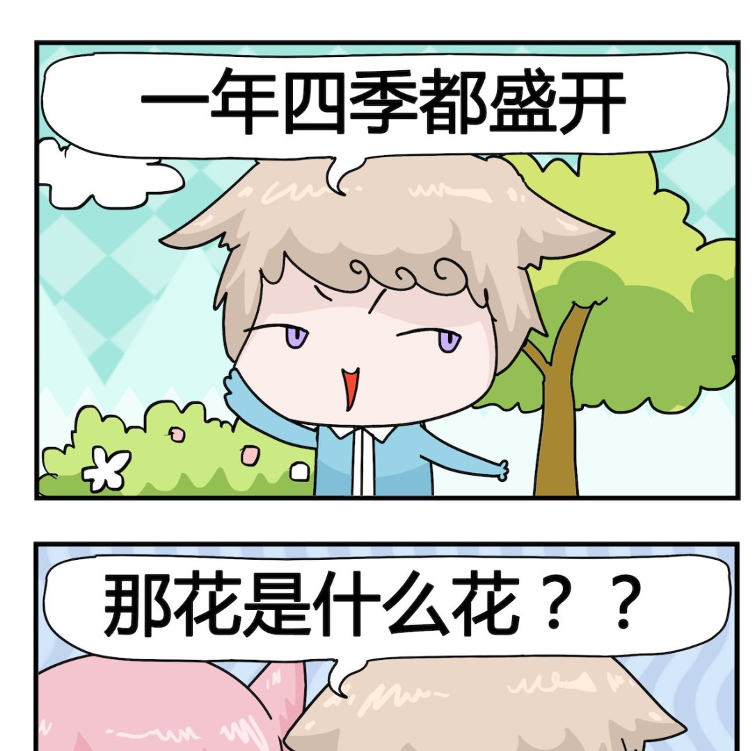 第088话 一种花-第88话