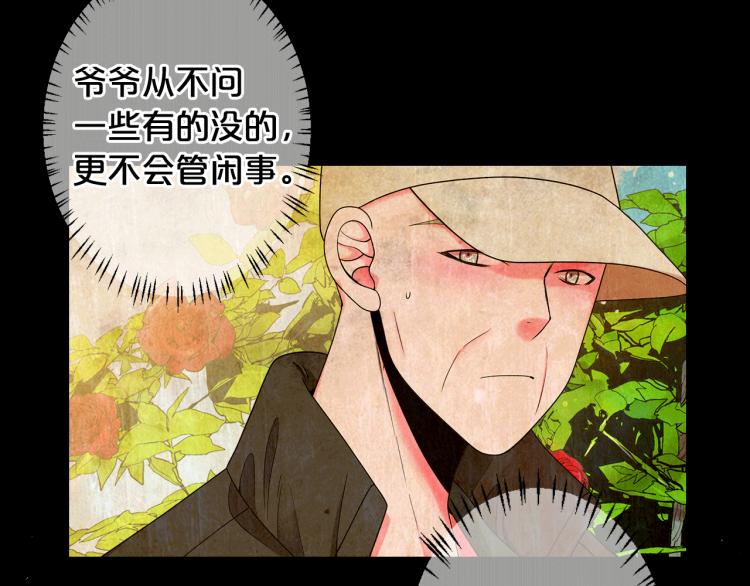 🍟名花无草——《名花有草》续篇 第16话 精心布局 第38页