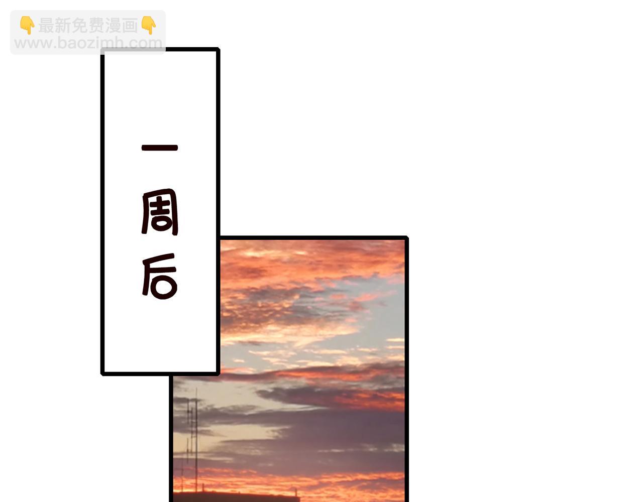🍟名门挚爱 第268  一个人的平安夜 第45页