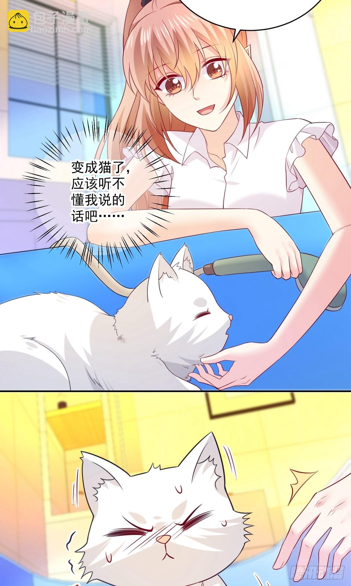 第240话-第246话