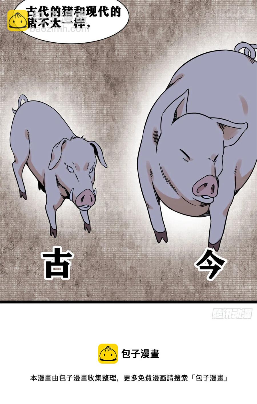 135 改良猪肉品质(1/2)-第138话