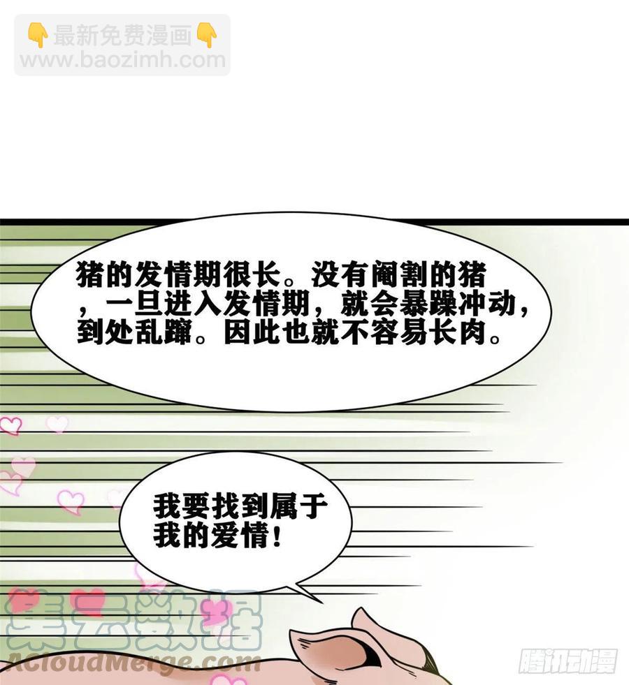 135 改良猪肉品质(1/2)-第138话