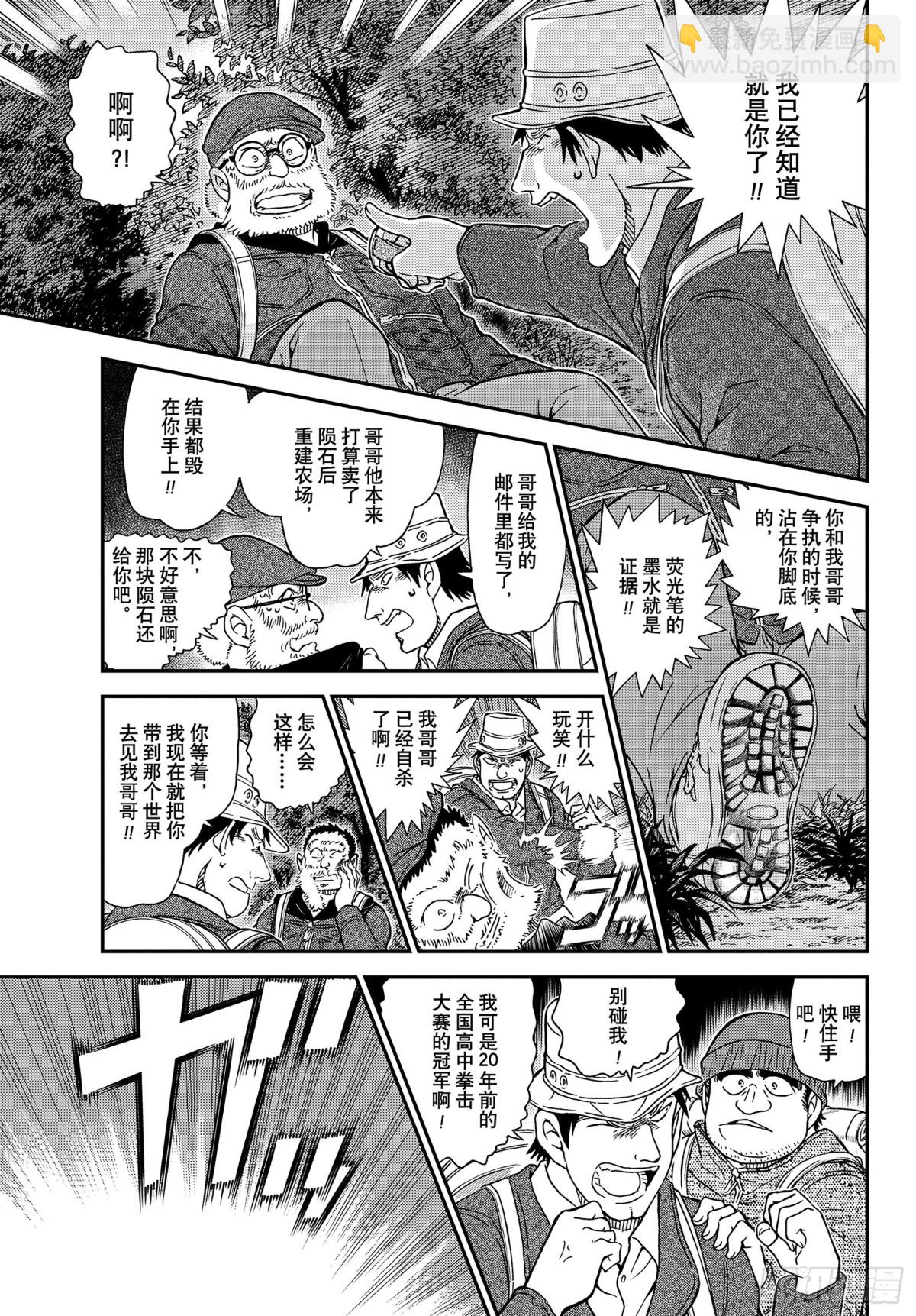 🍟名侦探柯南 FILE.1054 强的是…… 第11页
