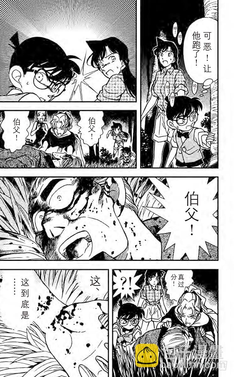 🍟名侦探柯南 FILE.2 目击者 第15页