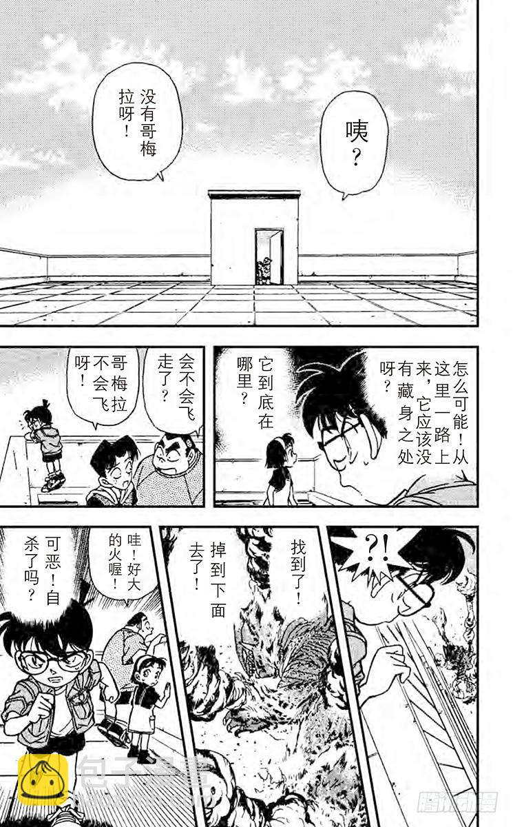 🍟名侦探柯南 FILE.8 逃亡者 第18页