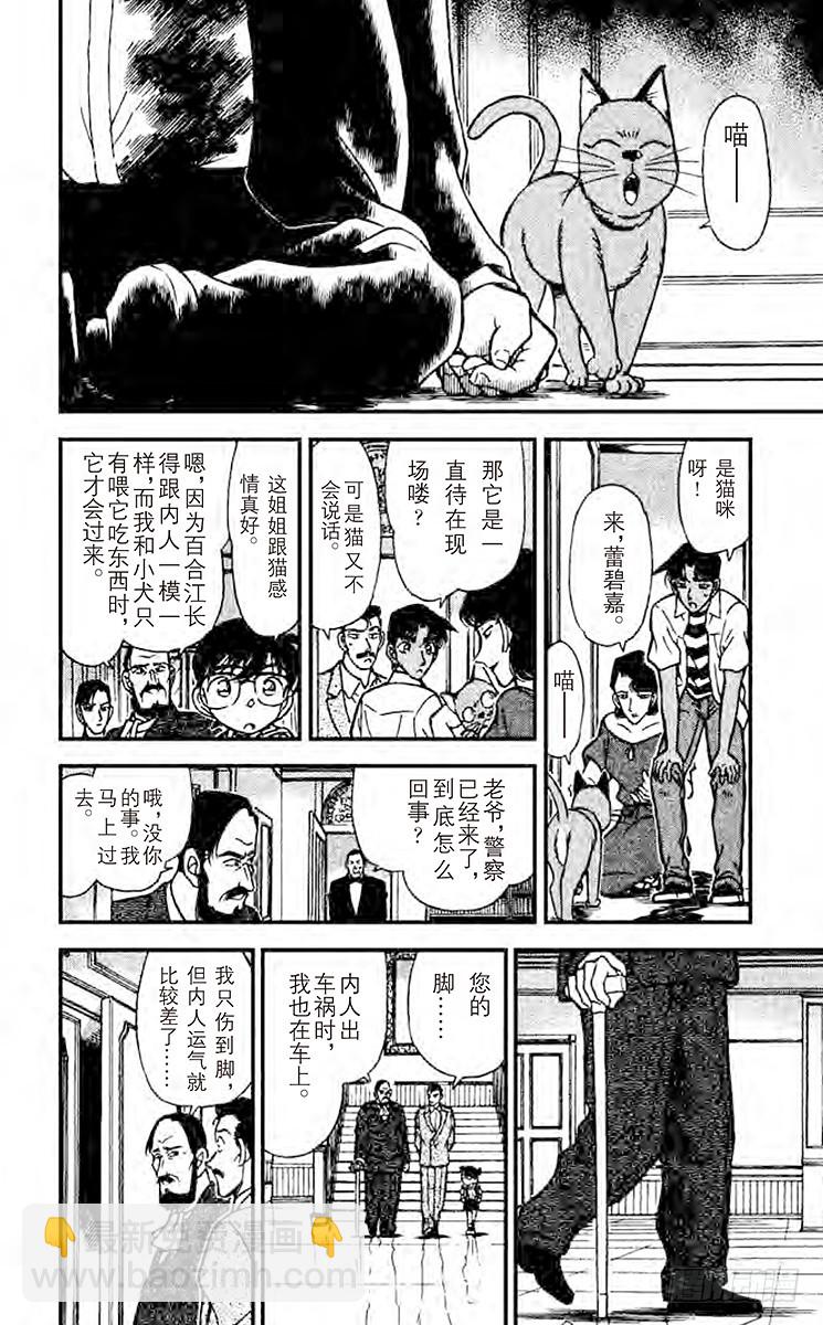 🍟名侦探柯南 第22卷FILE.1 刚好一对 第13页