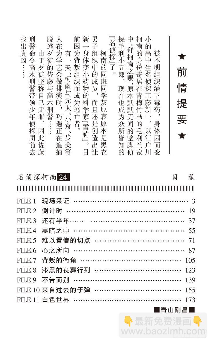 🍟名侦探柯南 第24卷FILE.1 现场采证 第4页