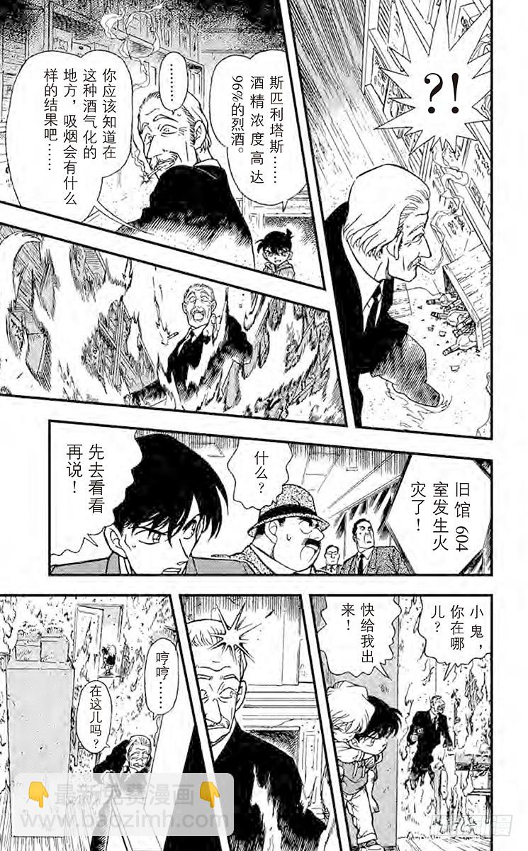 🍟名侦探柯南 FILE.11 白色世界 第13页