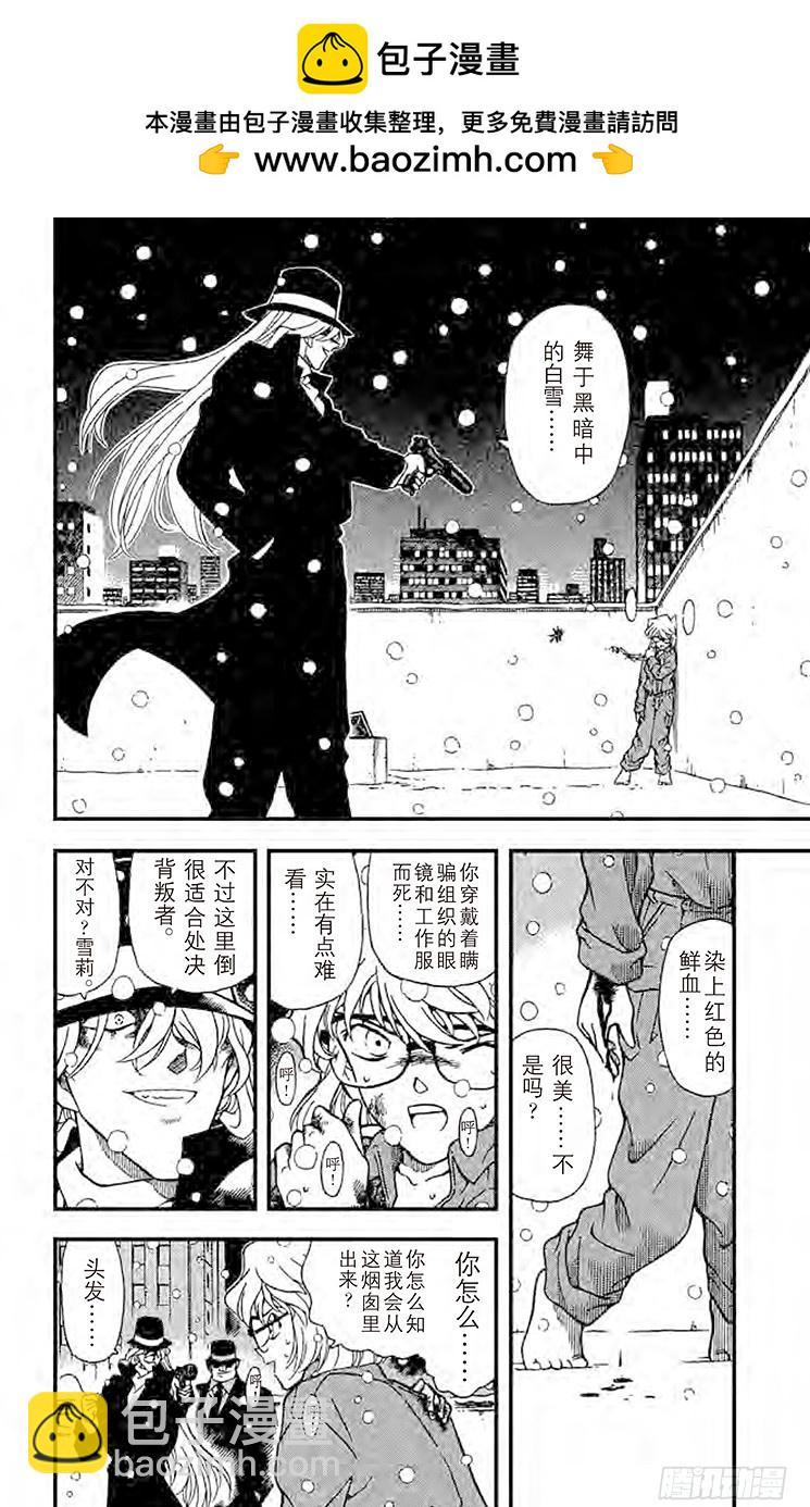 🍟名侦探柯南 FILE.11 白色世界 第2页
