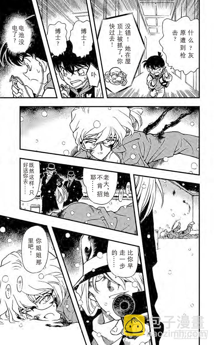 🍟名侦探柯南 FILE.11 白色世界 第5页