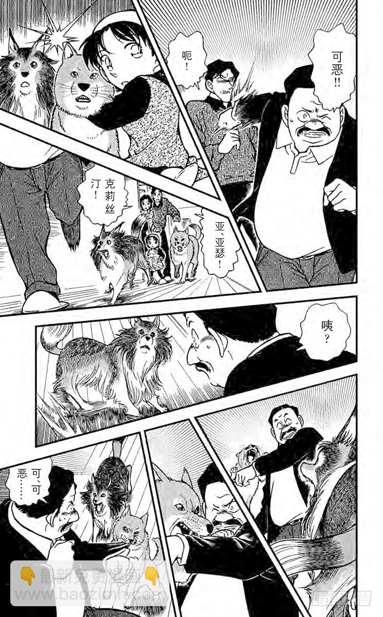 🍟名侦探柯南 FILE.8 无法消灭的证据 第13页