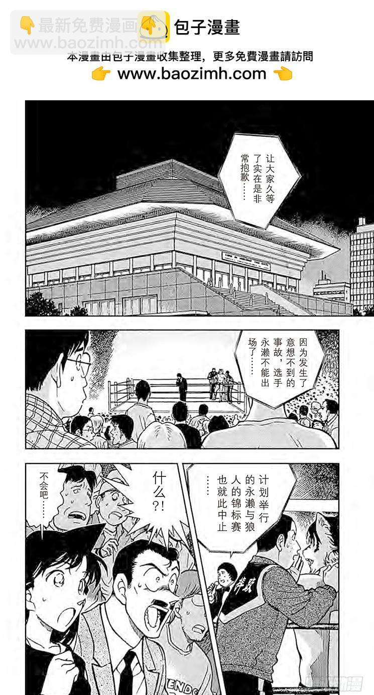 🍟名侦探柯南 FILE.6 狼人们的影子 第2页
