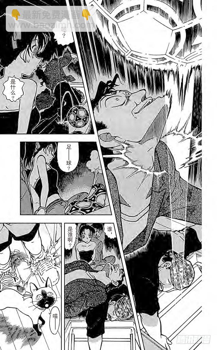 🍟名侦探柯南 FILE.10 服部平次走投无路 第15页