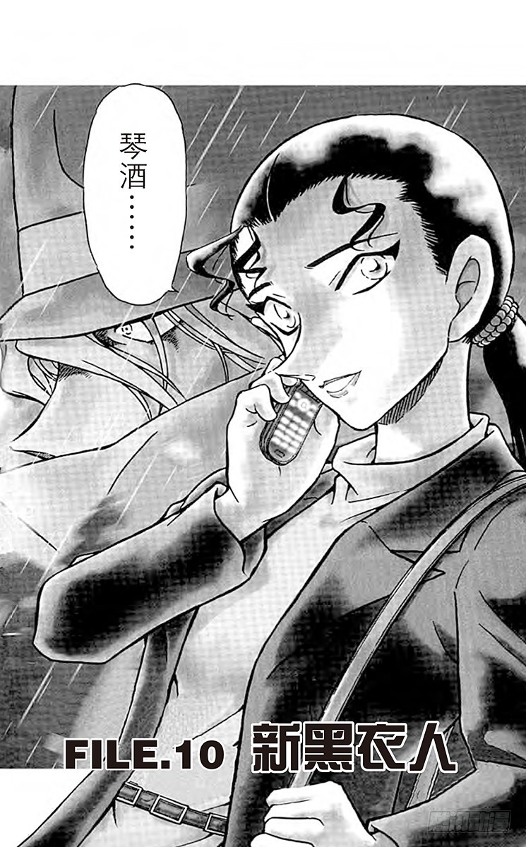 🍟名侦探柯南 FILE.10 新黑衣人 第1页