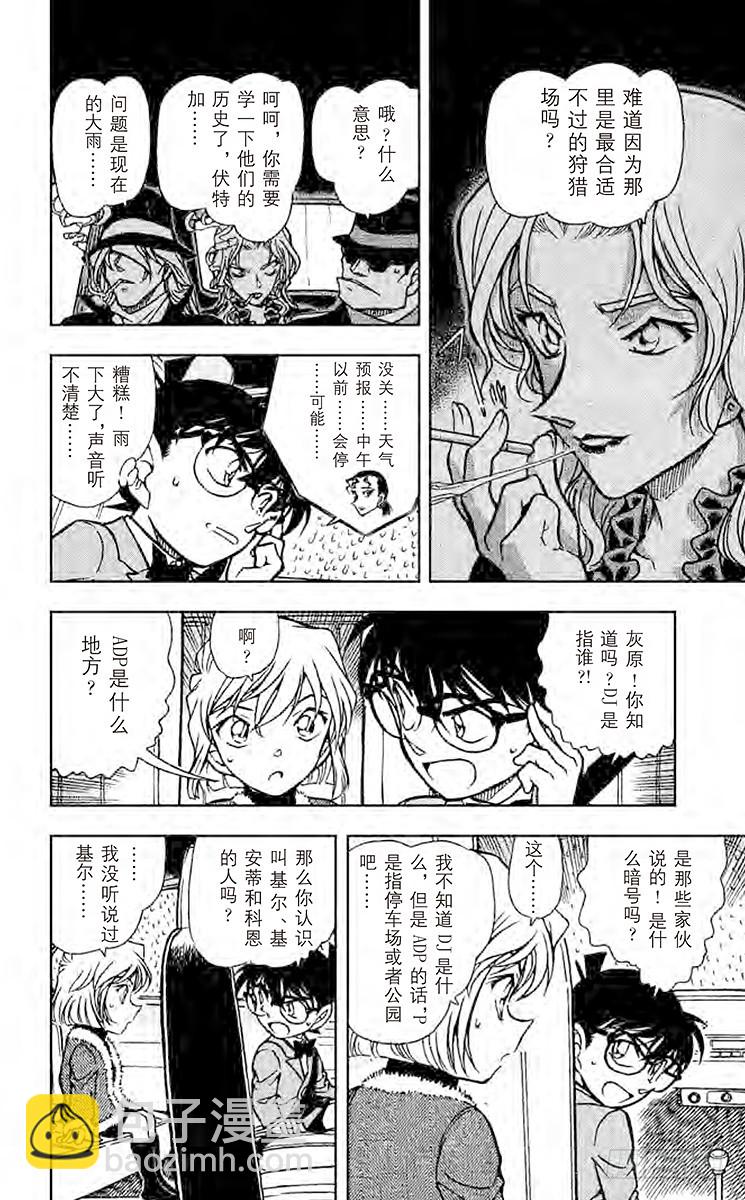 🍟名侦探柯南 FILE.10 新黑衣人 第13页