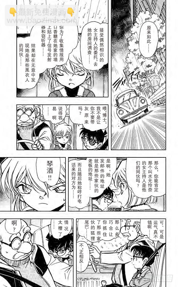🍟名侦探柯南 FILE.10 新黑衣人 第6页
