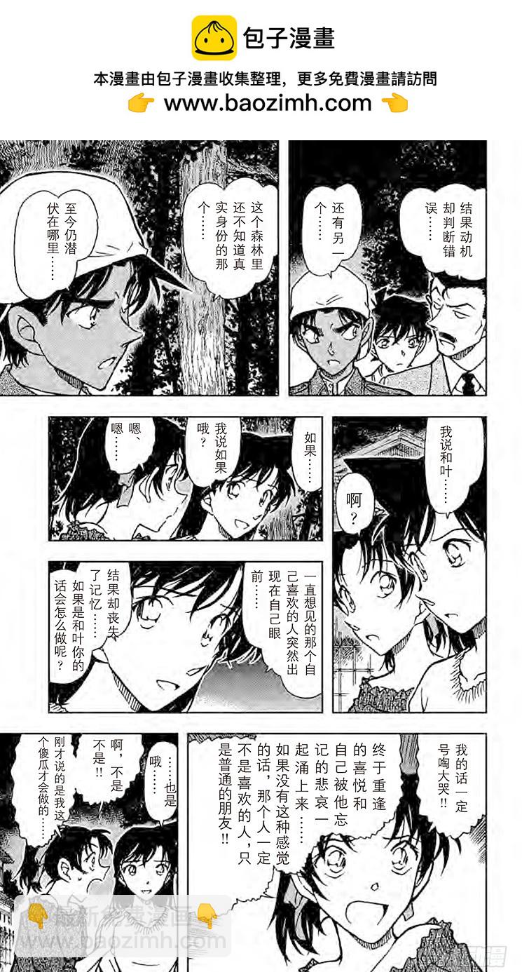 🍟名侦探柯南 FILE.7 工藤新一杀人 第13页