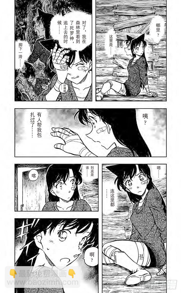 🍟名侦探柯南 FILE.9 止不住的泪水 第3页