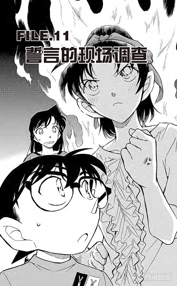 🍟名侦探柯南 FILE.11 誓言的现场调查 第1页