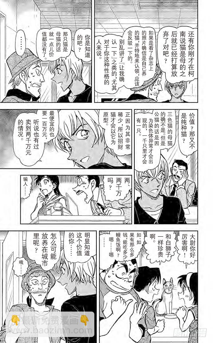 🍟名侦探柯南 FILE.5 扮猫吃老虎 第11页