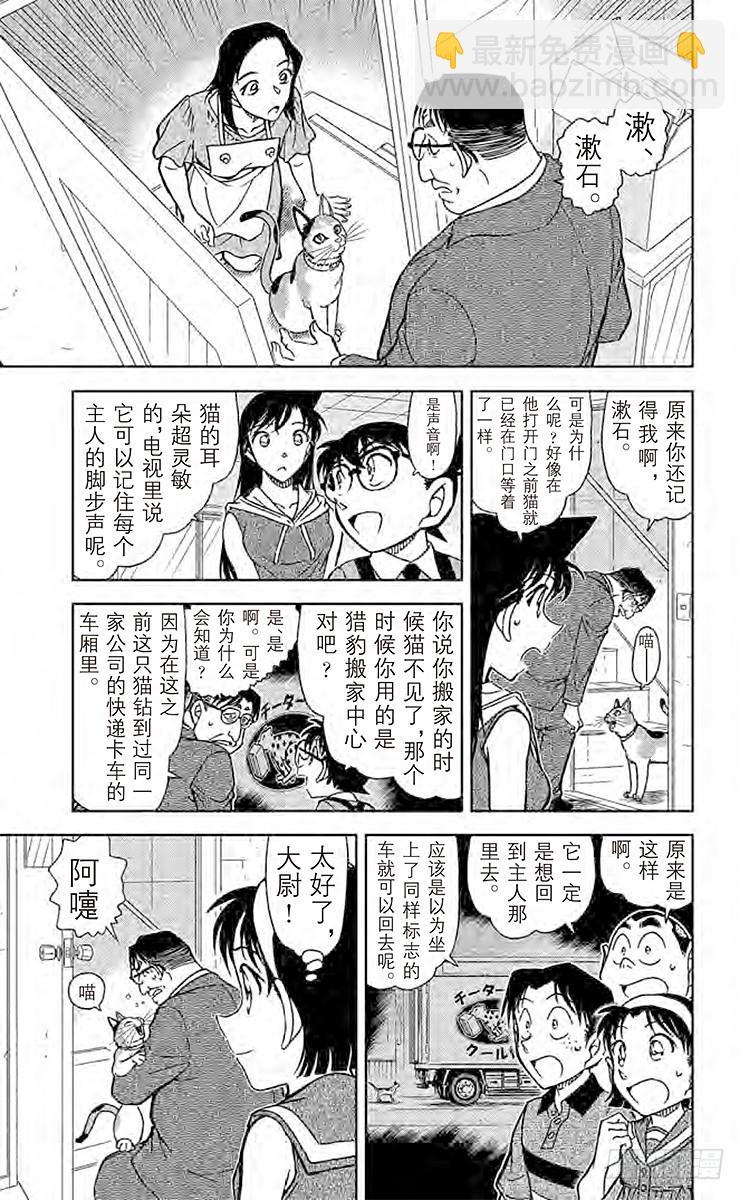 🍟名侦探柯南 FILE.5 扮猫吃老虎 第13页