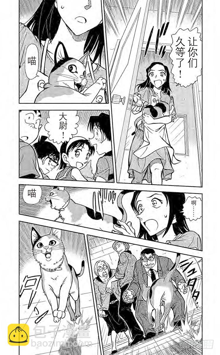 🍟名侦探柯南 FILE.5 扮猫吃老虎 第3页