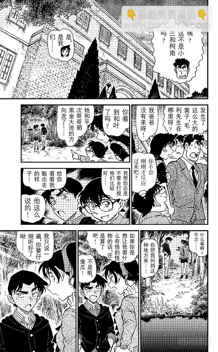 🍟名侦探柯南 FILE.3 悲伤的鵺鸟传说 第13页