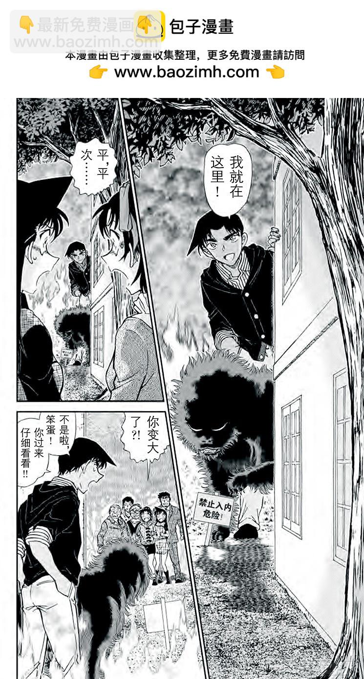🍟名侦探柯南 FILE.3 悲伤的鵺鸟传说 第2页