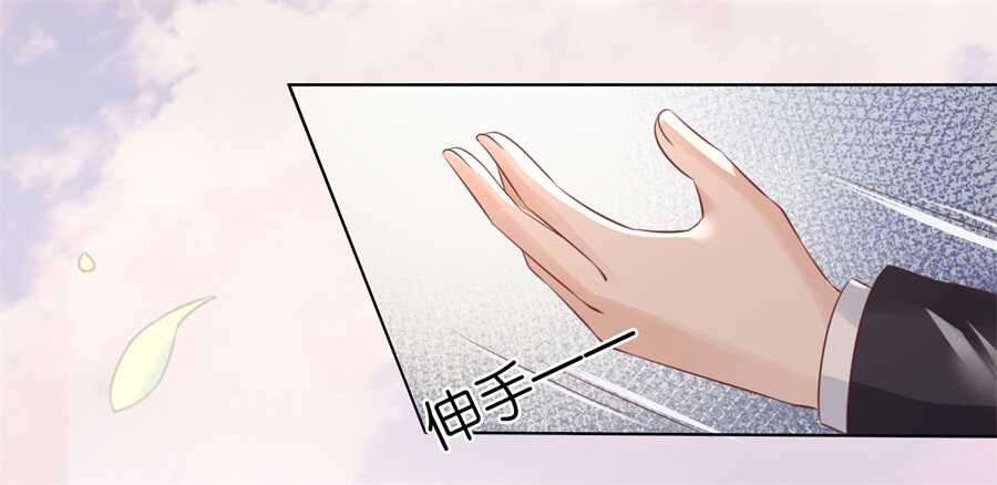 我怀孕了-第204话