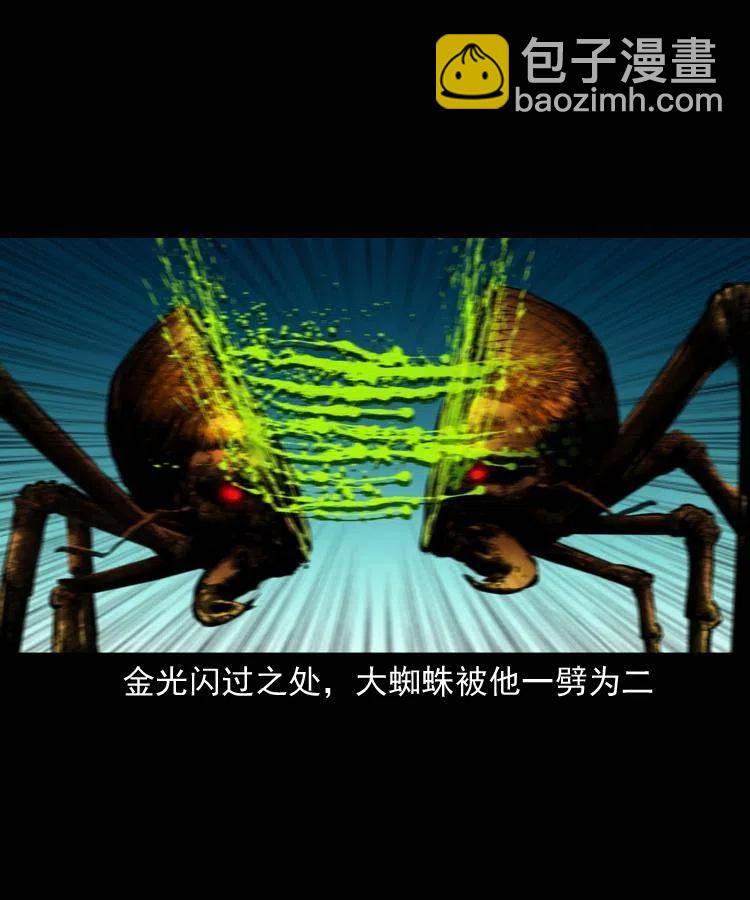 一百三十话 大破蜘蛛怪(1/2)-第132话
