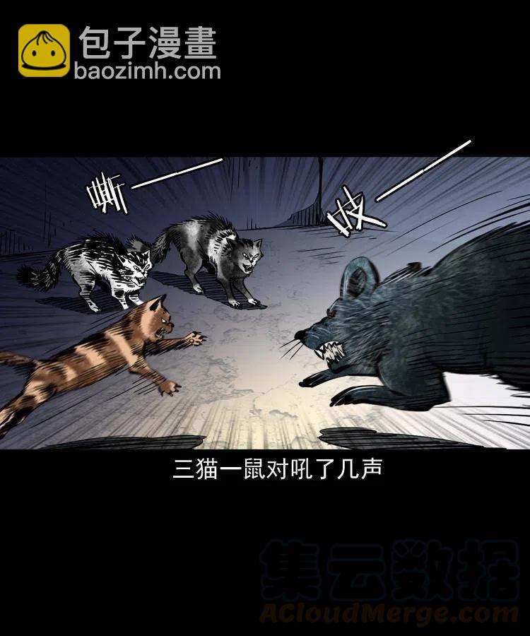 一百三十四话 百猫图(1/2)-第136话