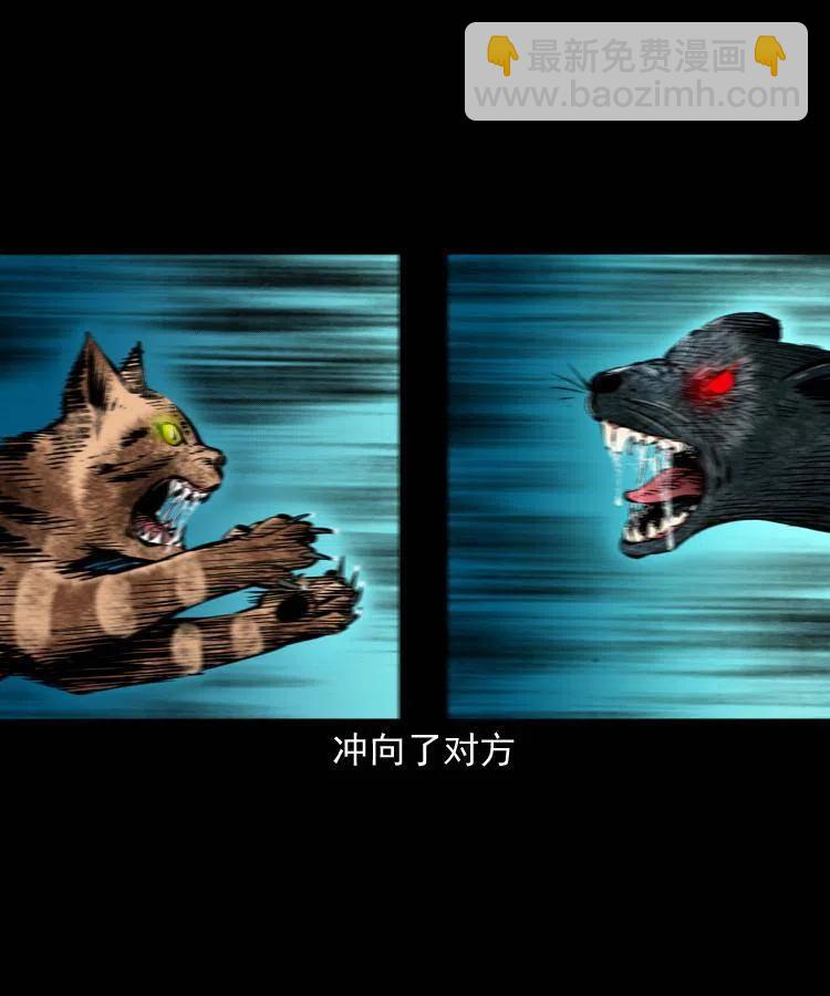 一百三十四话 百猫图(1/2)-第136话