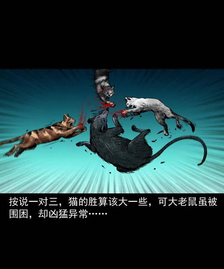 一百三十四话 百猫图(1/2)-第136话