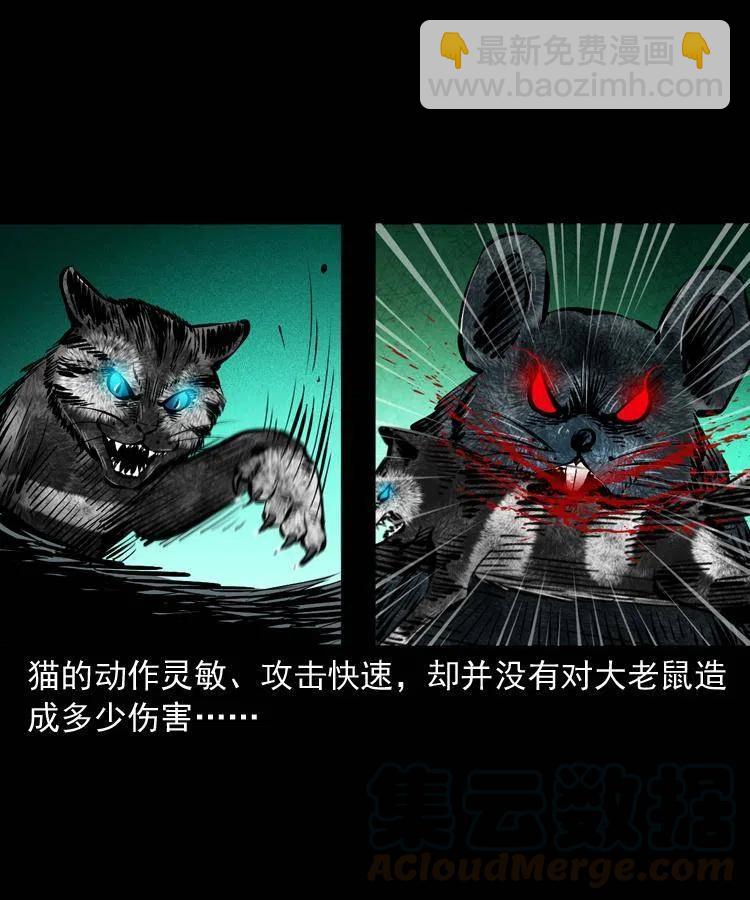 一百三十四话 百猫图(1/2)-第136话