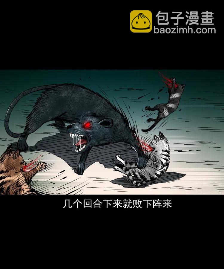 一百三十四话 百猫图(1/2)-第136话