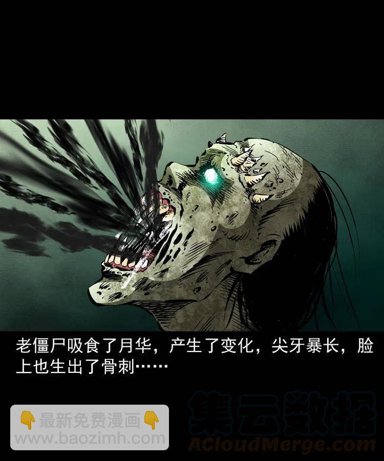 一百三十八话 收大粽(1/2)-第140话