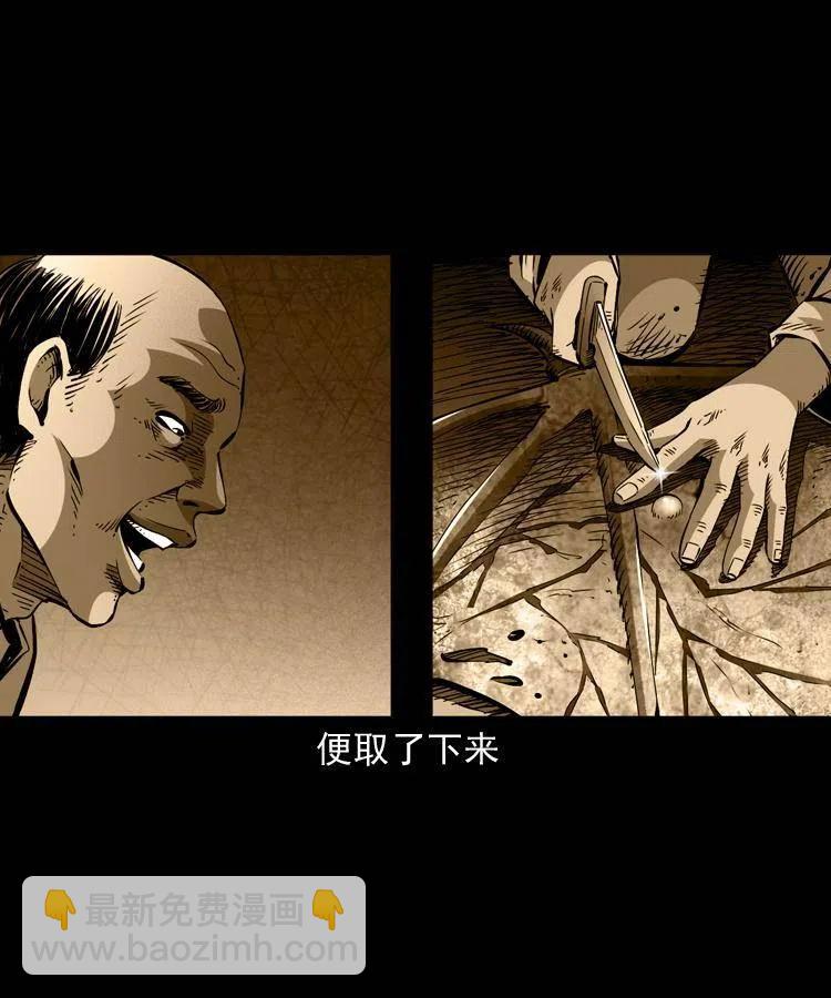 一百四十一话 破茧而出(1/2)-第142话