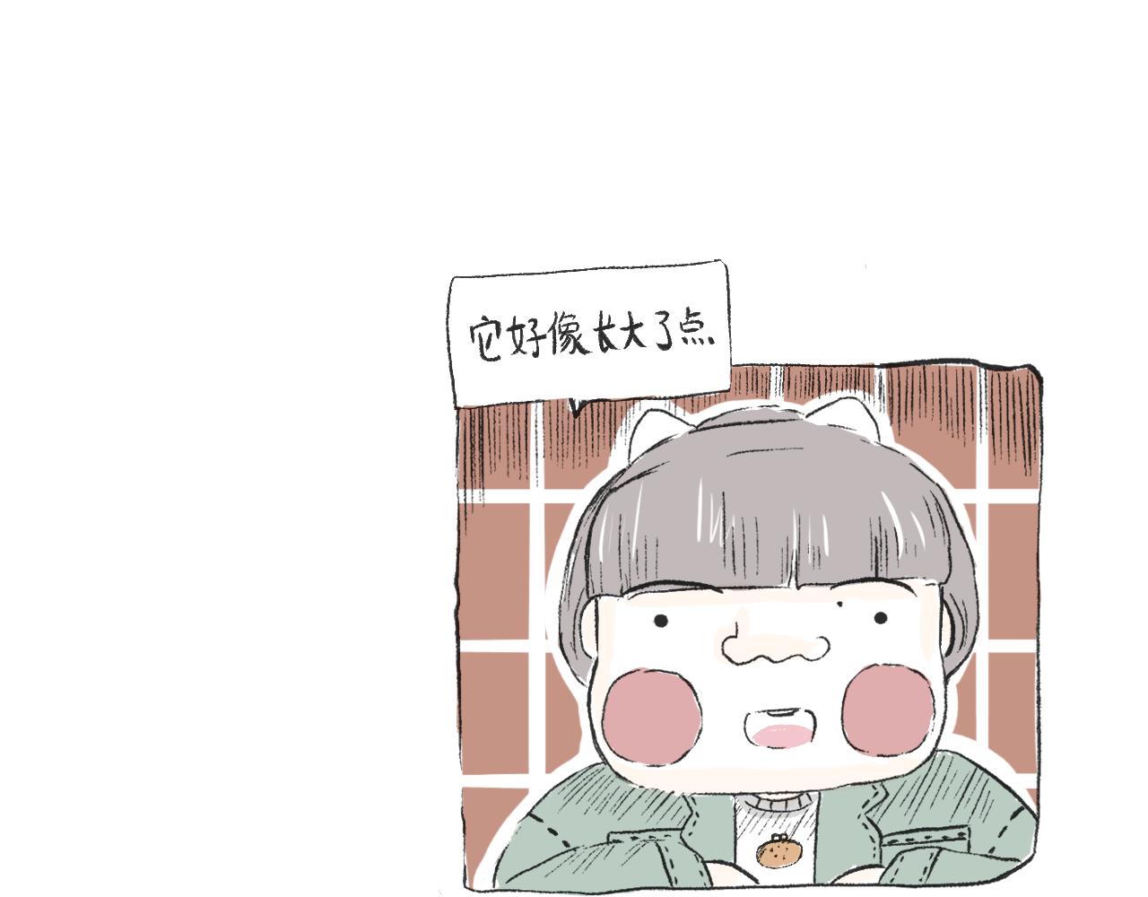 第二十七话  鸽子(1/2)-第30话