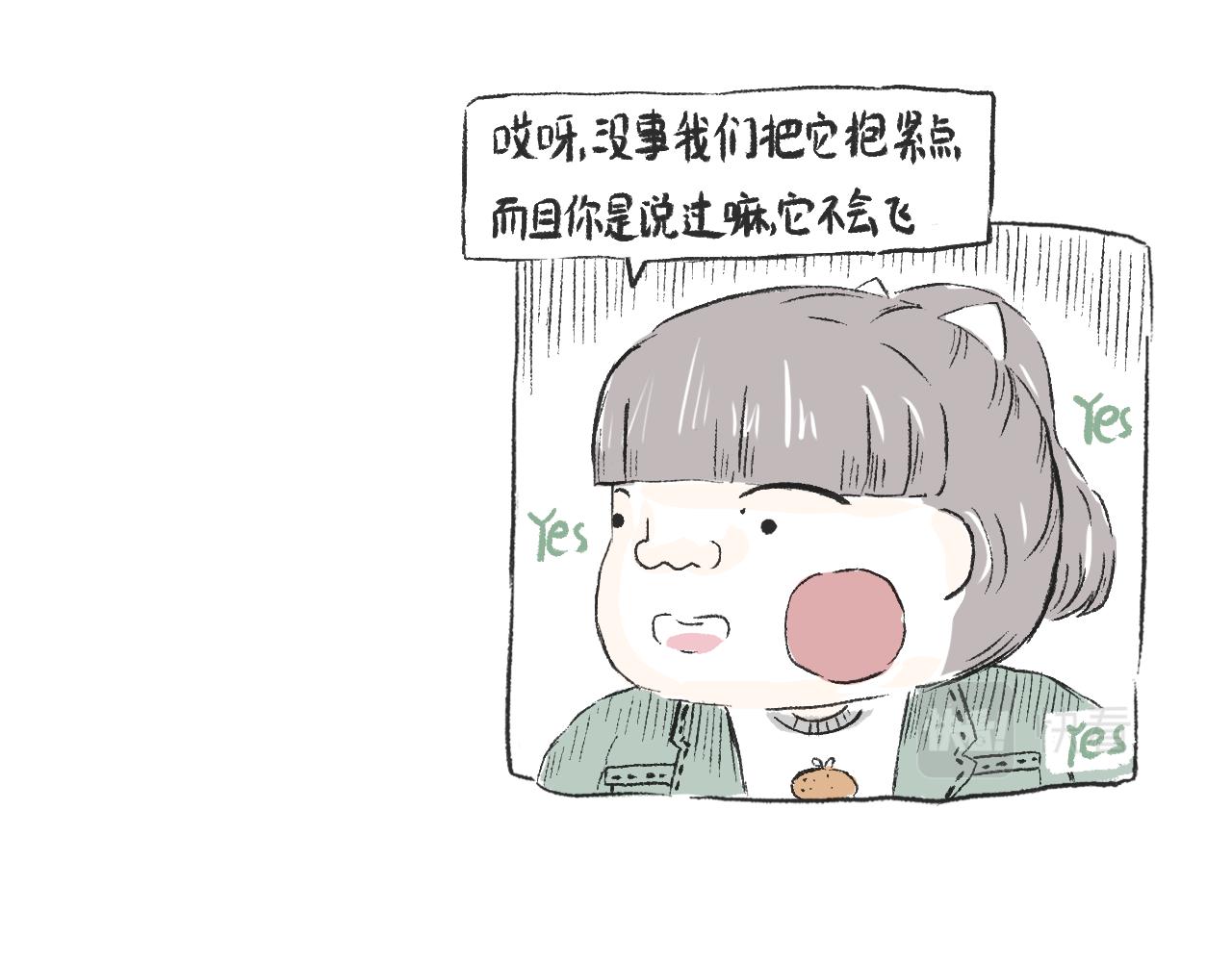 第二十七话  鸽子(1/2)-第30话